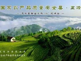 抗击疫情,五峰茶人在行动